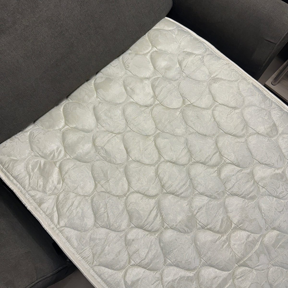 Grey Twin Sleeper Couch
