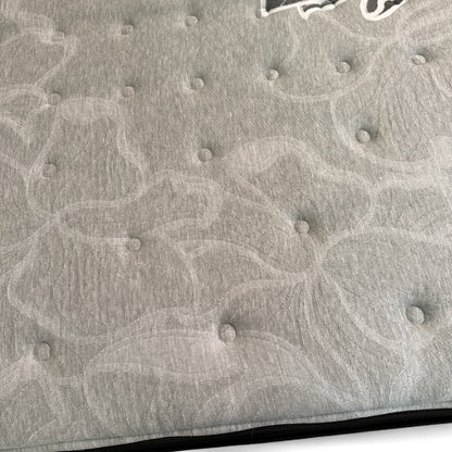 Sealy ProBack Plus King Size Mattress