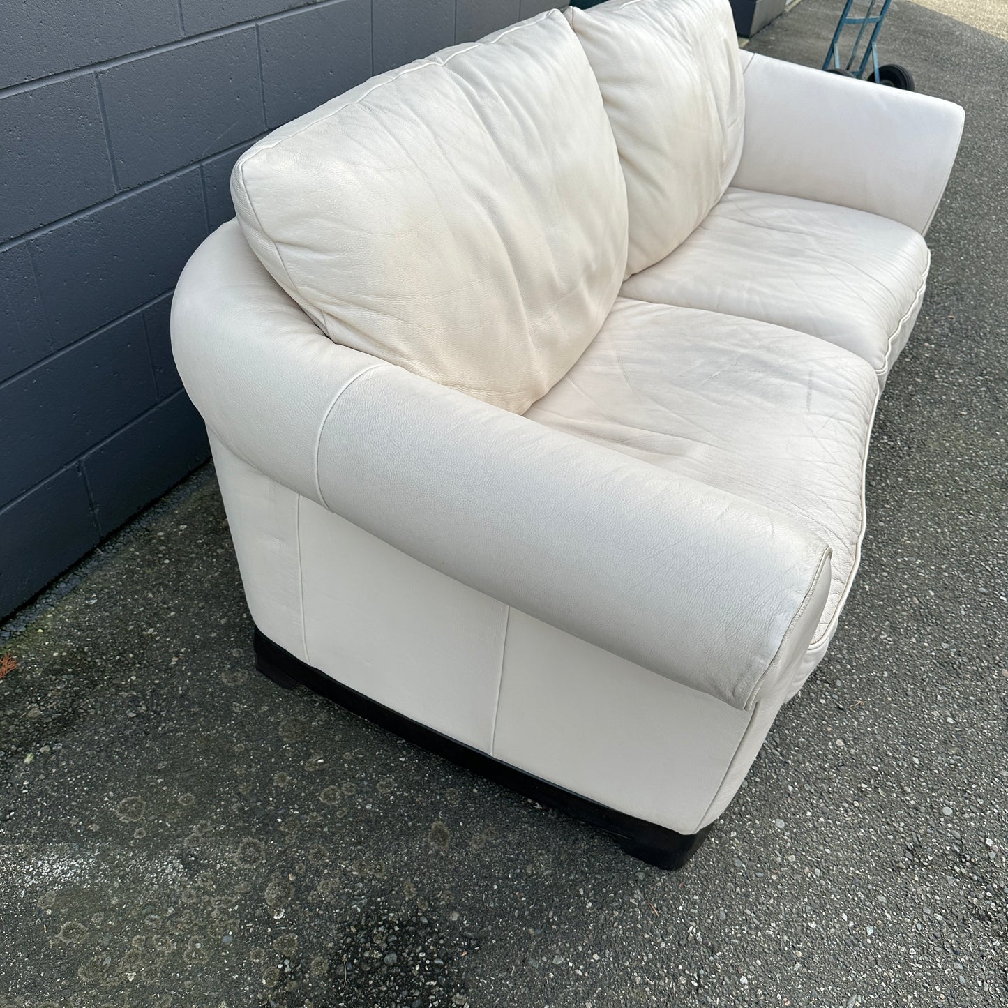 Natuzzi Leather Couch