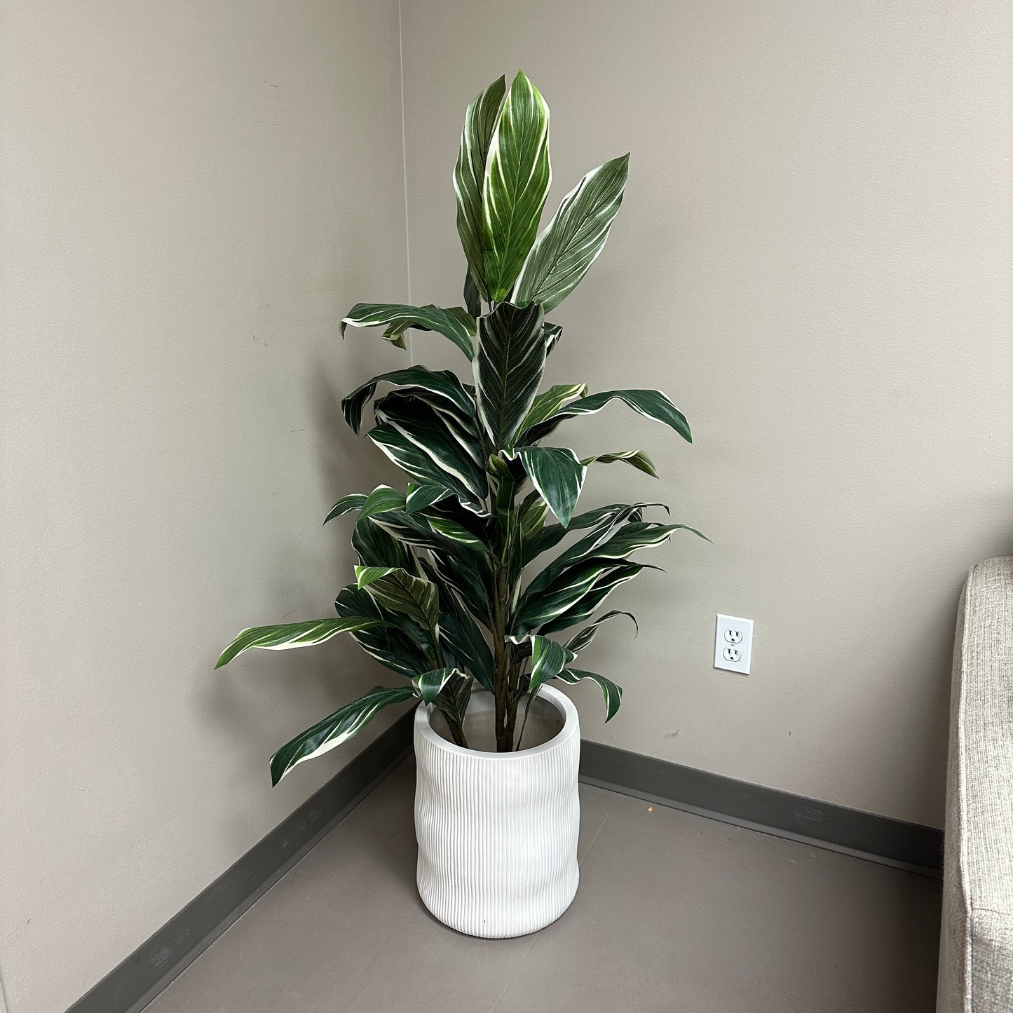 Artificial Calathea Plant