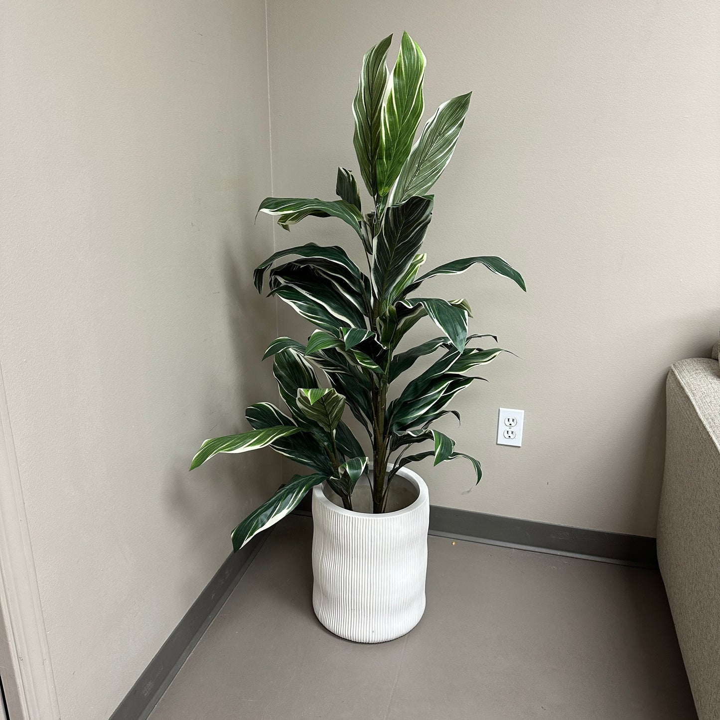Artificial Calathea Plant