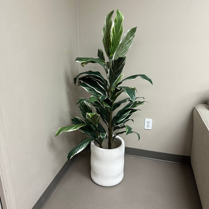 Artificial Calathea Plant
