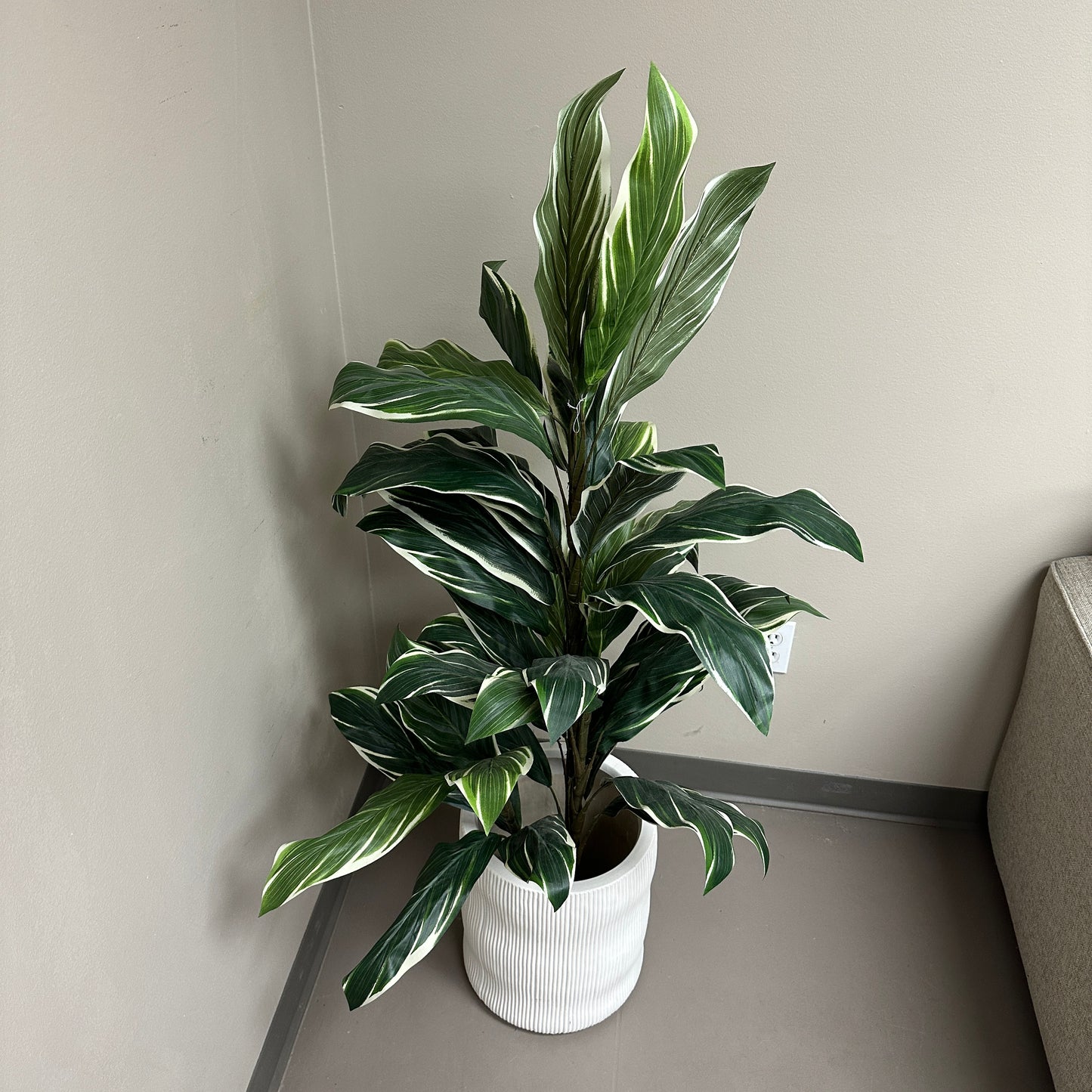 Artificial Calathea Plant