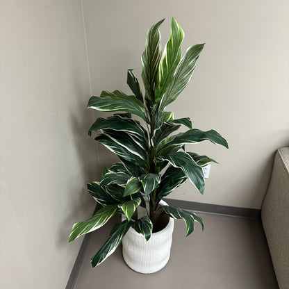 Artificial Calathea Plant