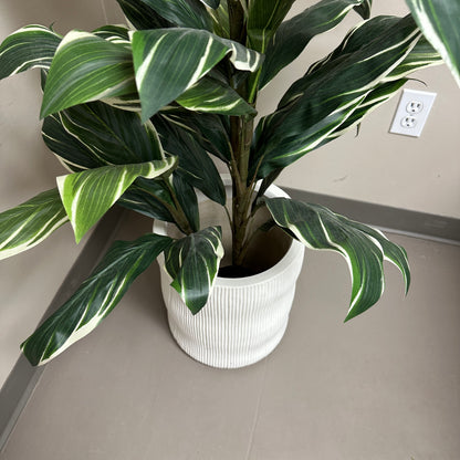 Artificial Calathea Plant