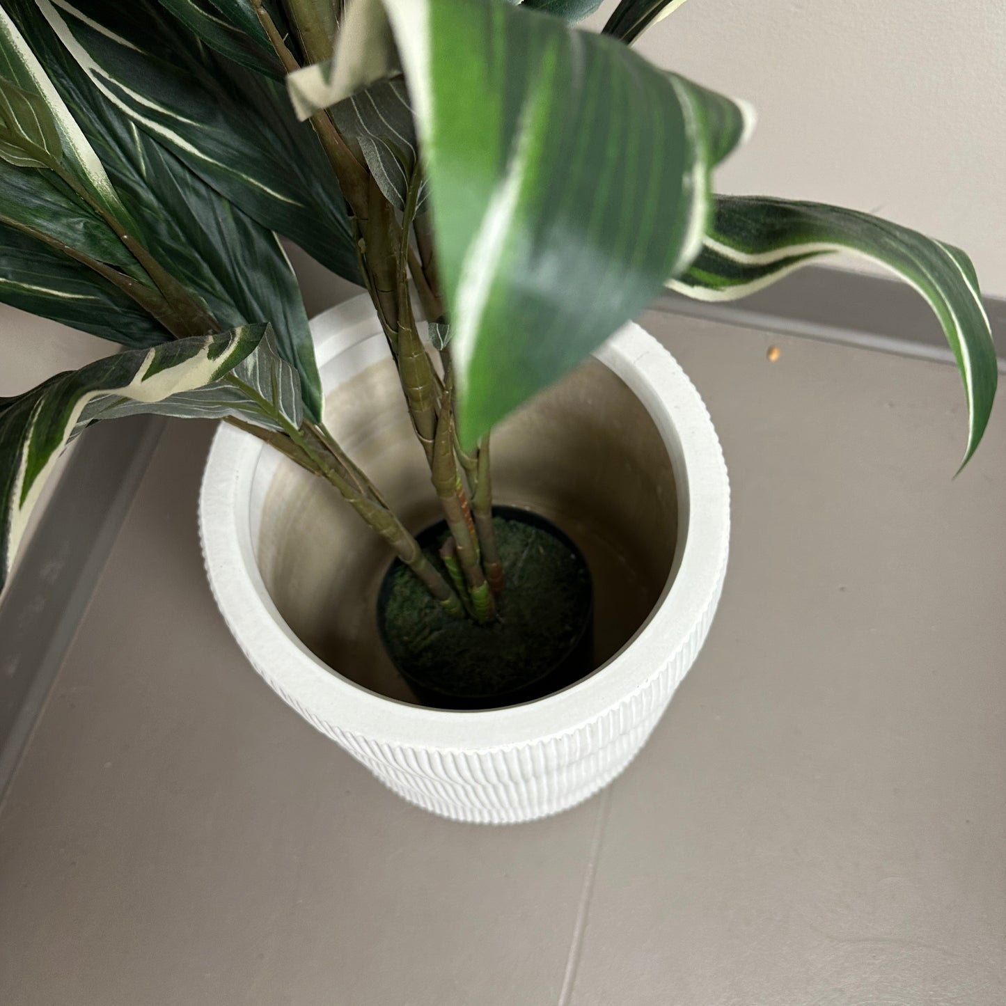 Artificial Calathea Plant