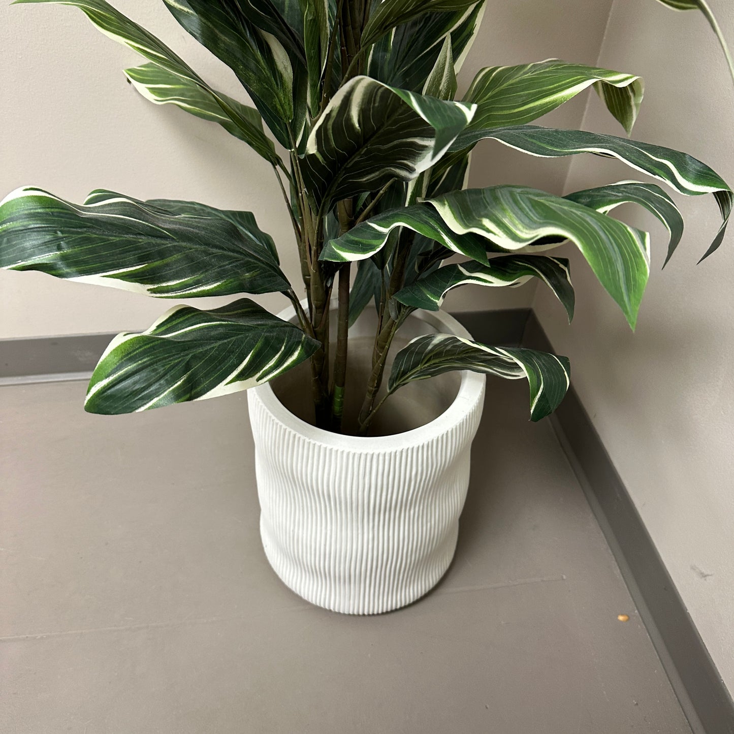 Artificial Calathea Plant
