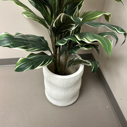 Artificial Calathea Plant