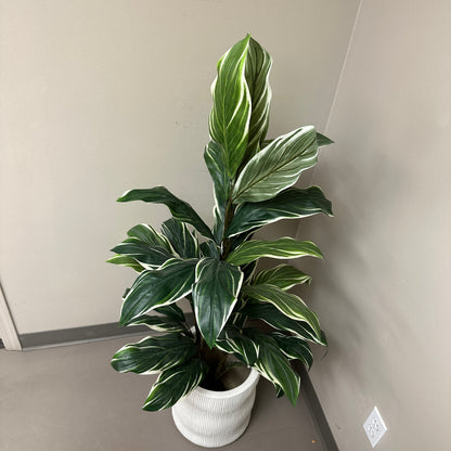 Artificial Calathea Plant