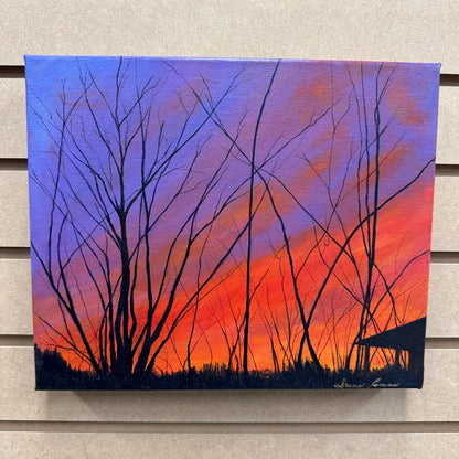 Local Abbotsford Artist - Blazing Sunset in Harrison