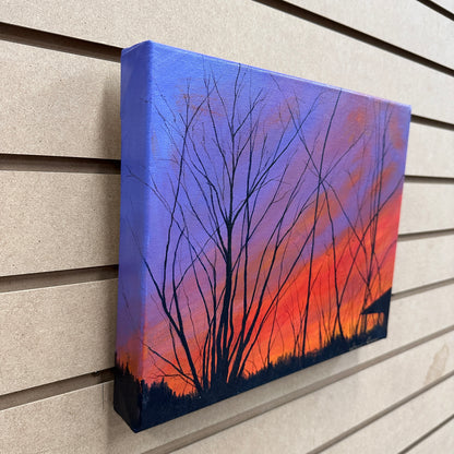 Local Abbotsford Artist - Blazing Sunset in Harrison