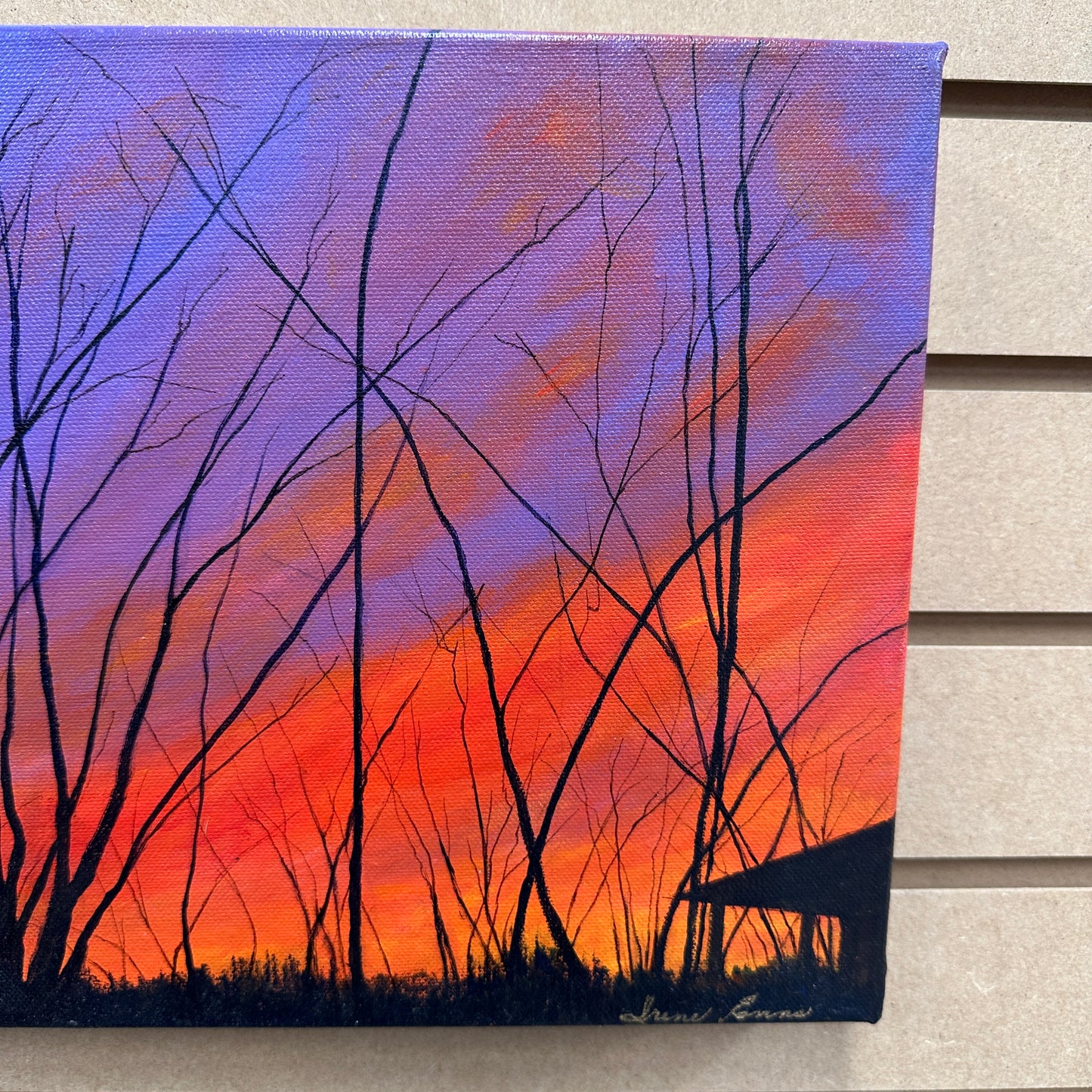 Local Abbotsford Artist - Blazing Sunset in Harrison