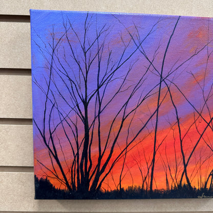 Local Abbotsford Artist - Blazing Sunset in Harrison