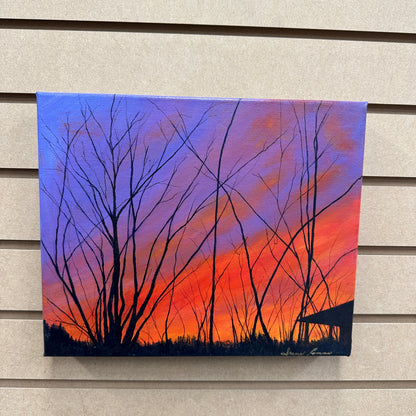 Local Abbotsford Artist - Blazing Sunset in Harrison