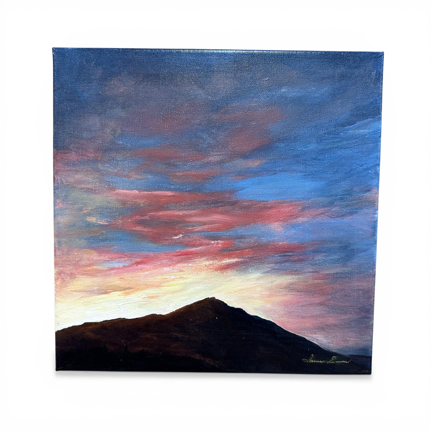 Local Abbotsford Artist - Kamloops Sunset