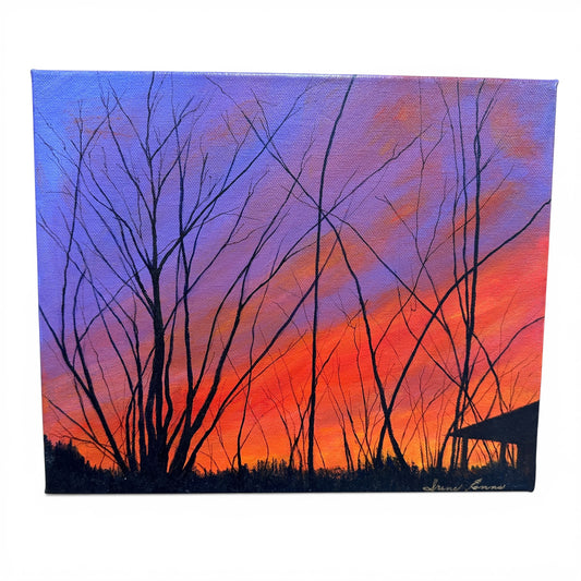 Local Abbotsford Artist - Blazing Sunset in Harrison