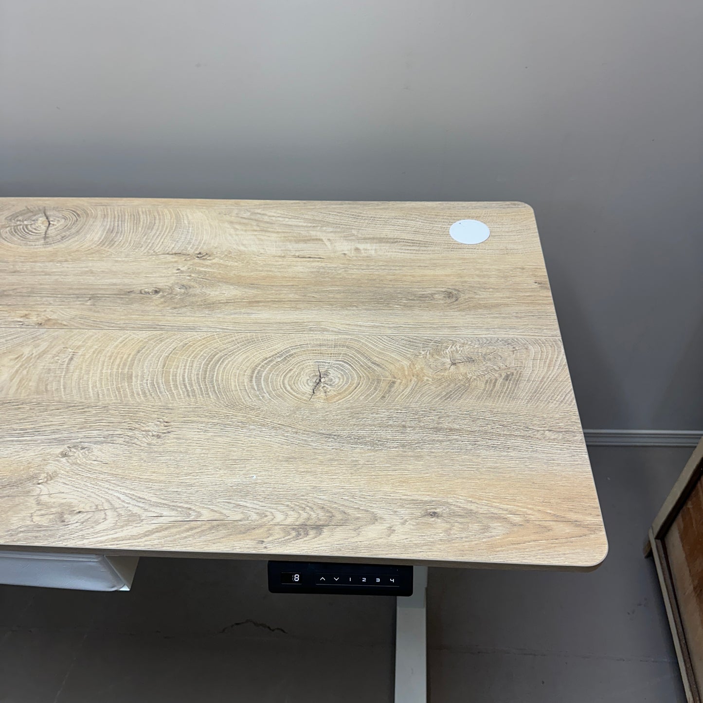 Electric Standing Desk