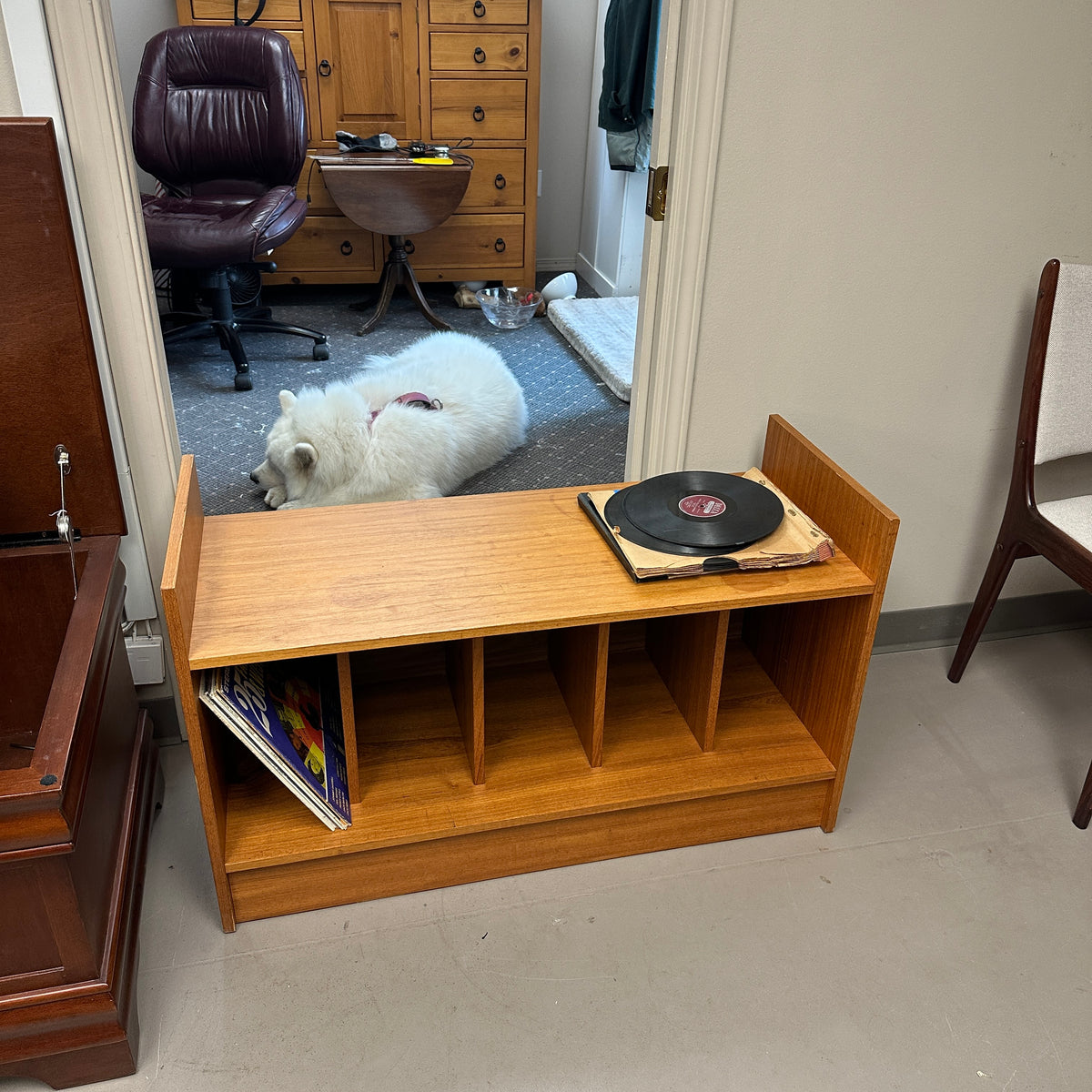 Mid-Century Vinyl Record Media Console