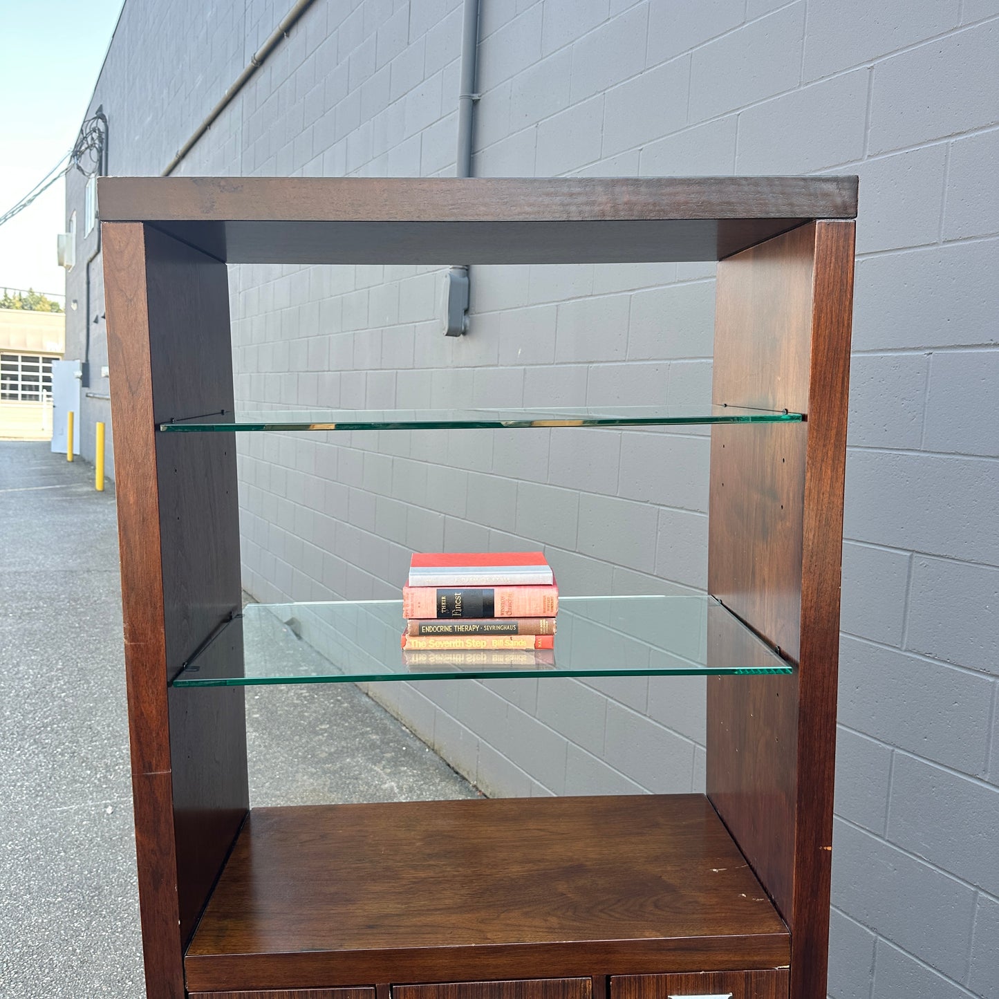 Modern Glass Shelves Bookshelf