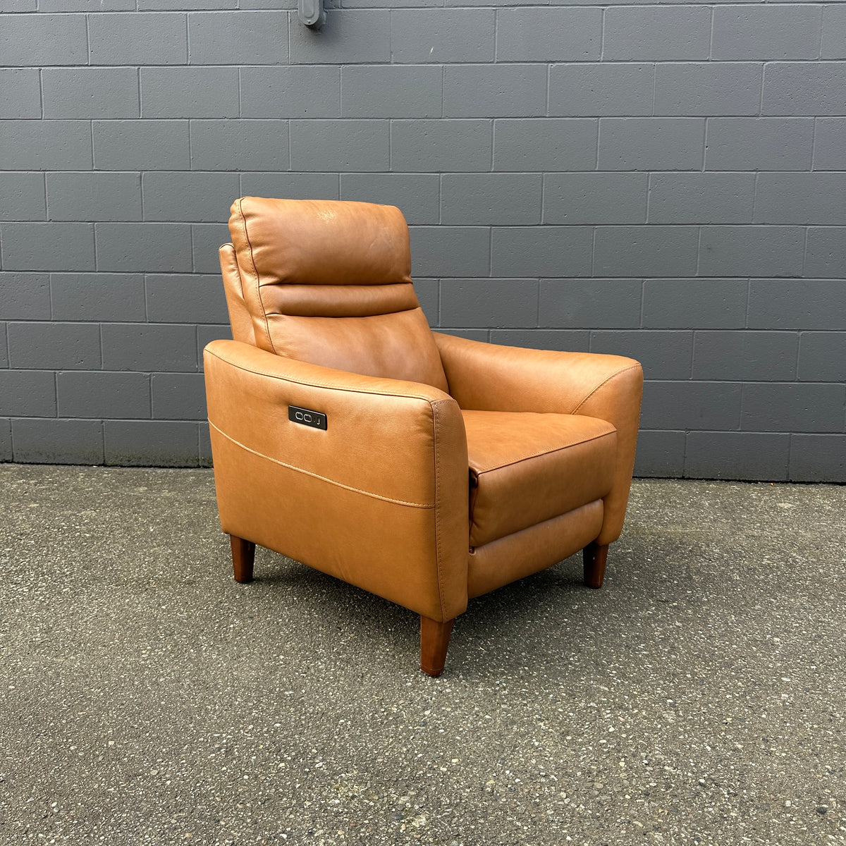 Aiden & Ivy Leather Power Recliner with Headrest