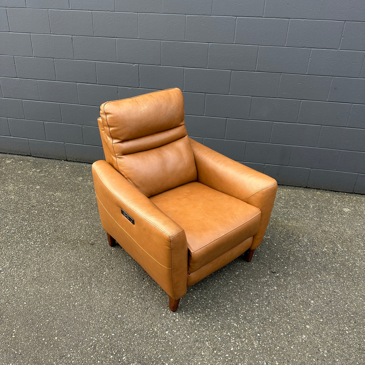 Aiden & Ivy Leather Power Recliner with Headrest