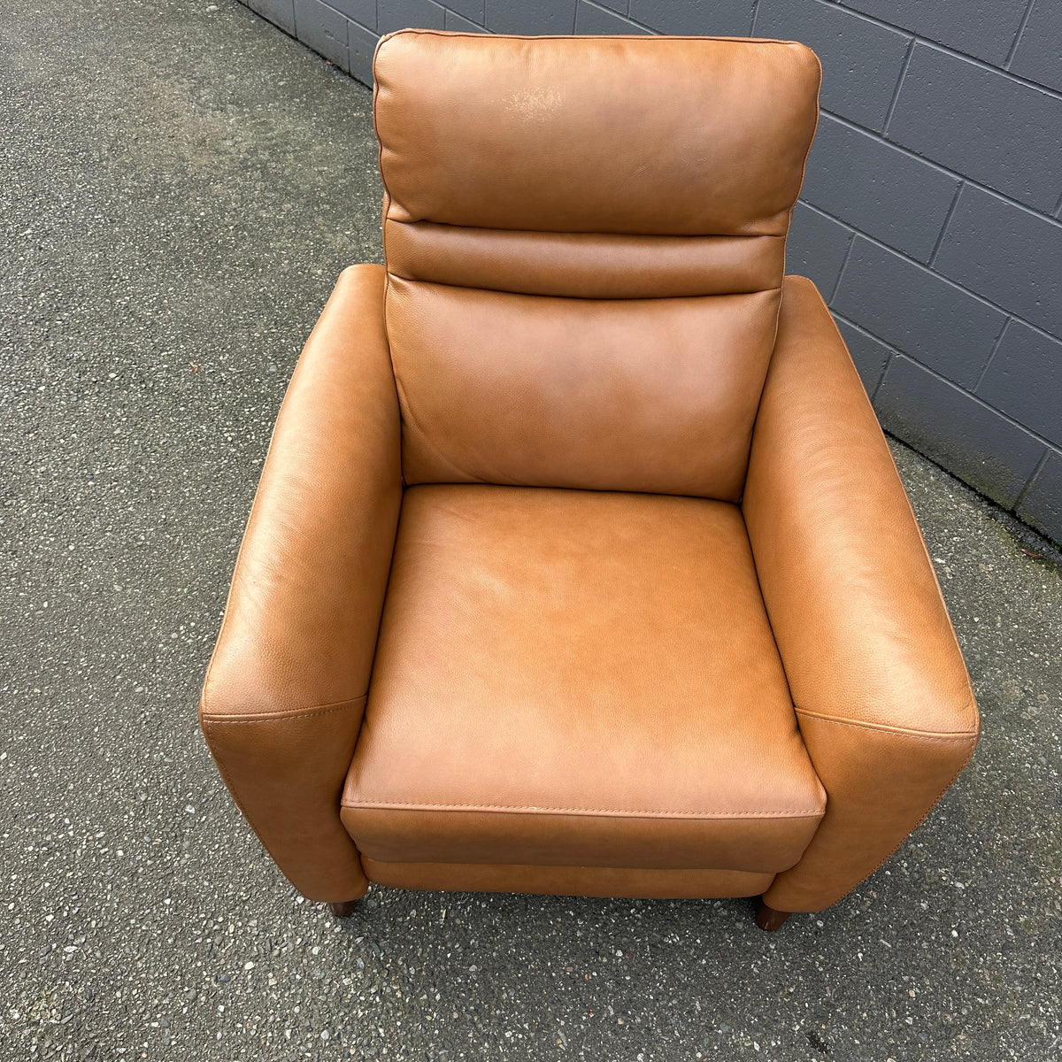 Aiden & Ivy Leather Power Recliner with Headrest