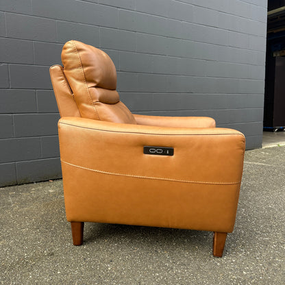 Aiden & Ivy Leather Power Recliner with Headrest