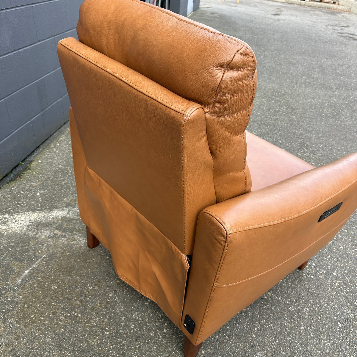 Aiden & Ivy Leather Power Recliner with Headrest