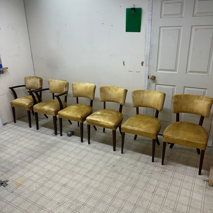 6 Yellow Velvet Vintage Dining Chairs