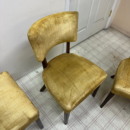 6 Yellow Velvet Vintage Dining Chairs