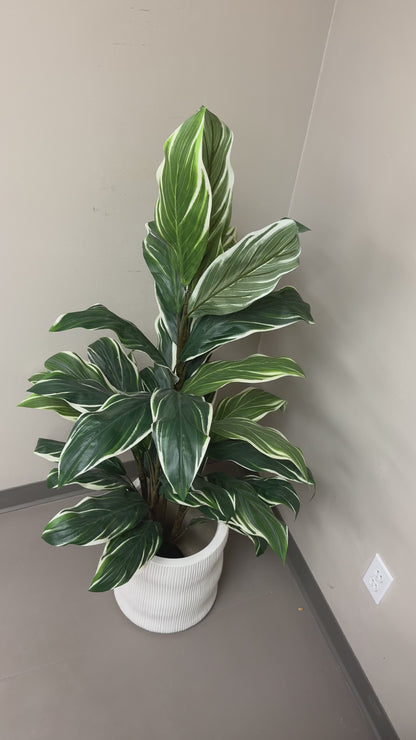 Artificial Calathea Plant