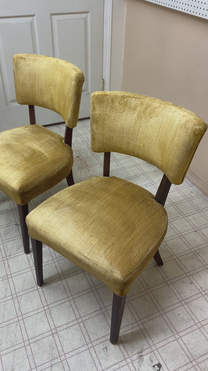 6 Yellow Velvet Vintage Dining Chairs