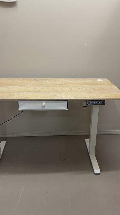 Electric Standing Desk