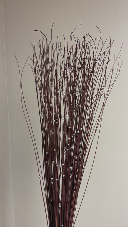 Willow Decorative Branches with Vase