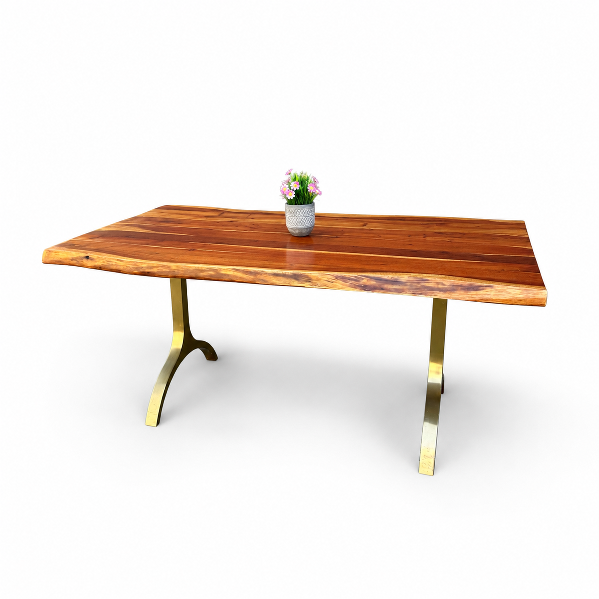 West Elm Cast Trestle live-edge dining table on a white background - front view